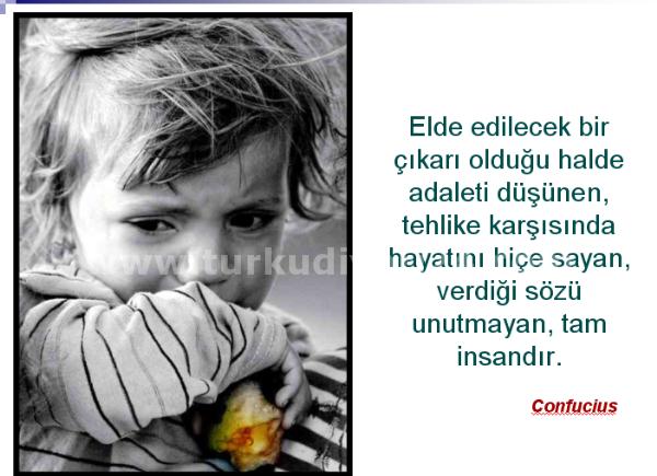 özlü söz