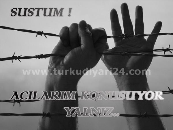 Mahir yoldas